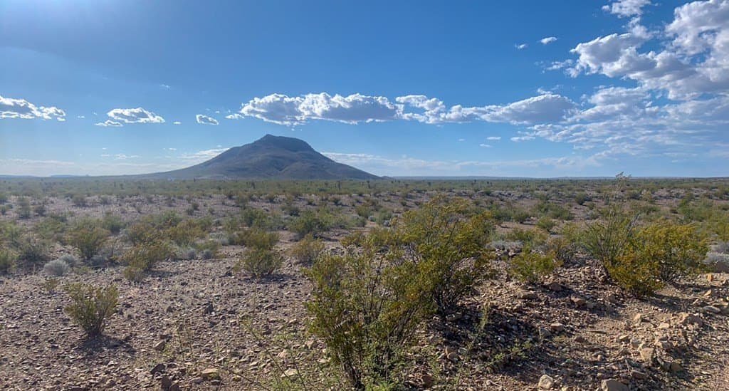 5 acres in Brewster County - photo 7