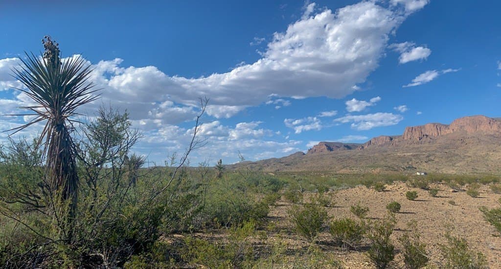 5 acres in Brewster County - photo 3