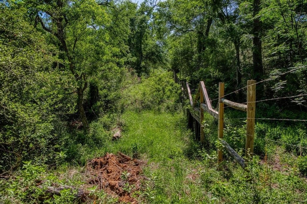15.84 acres in Washington County - photo 22