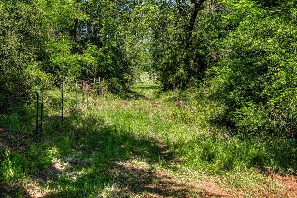 15.84 acres in Washington County - photo 6