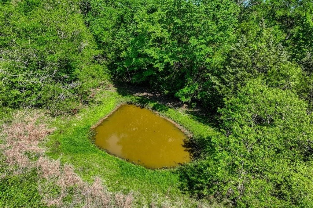 15.84 acres in Washington County - photo 7