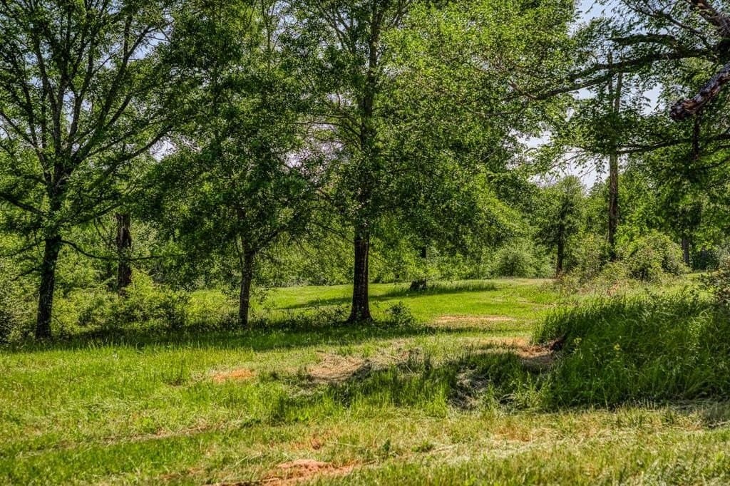 15.84 acres in Washington County - photo 8