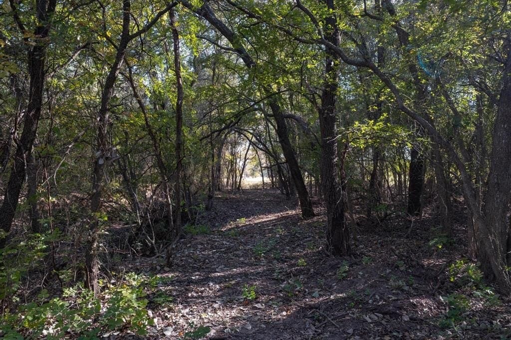 10 acres in Hood County - photo 8