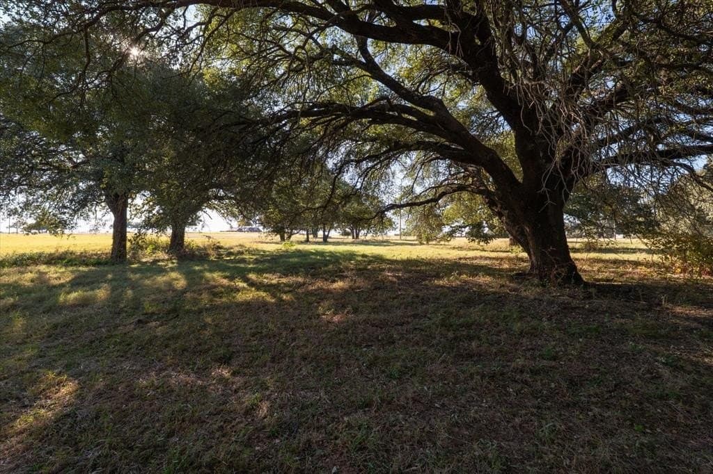 10 acres in Hood County - photo 5