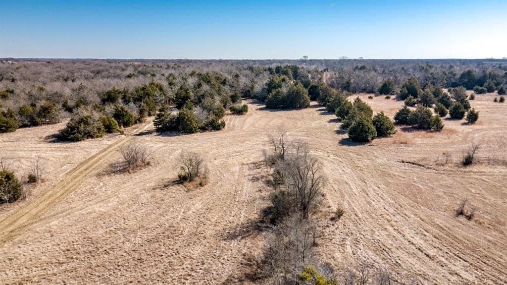 3.02 acres in Rains County - photo 10