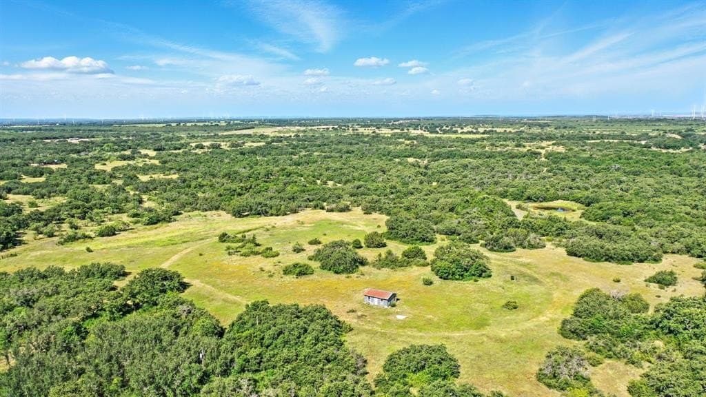 112.46 acres in Eastland County - photo 9