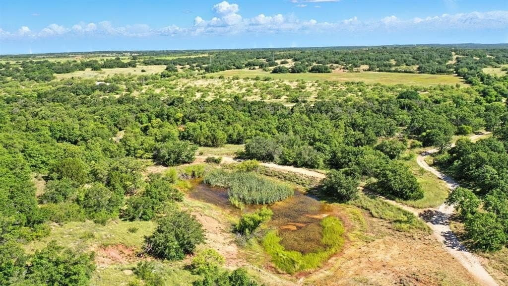 112.46 acres in Eastland County - photo 8