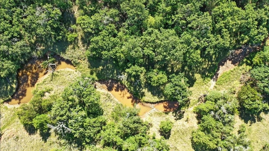 112.46 acres in Eastland County - photo 6