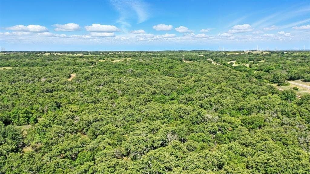112.46 acres in Eastland County - photo 17