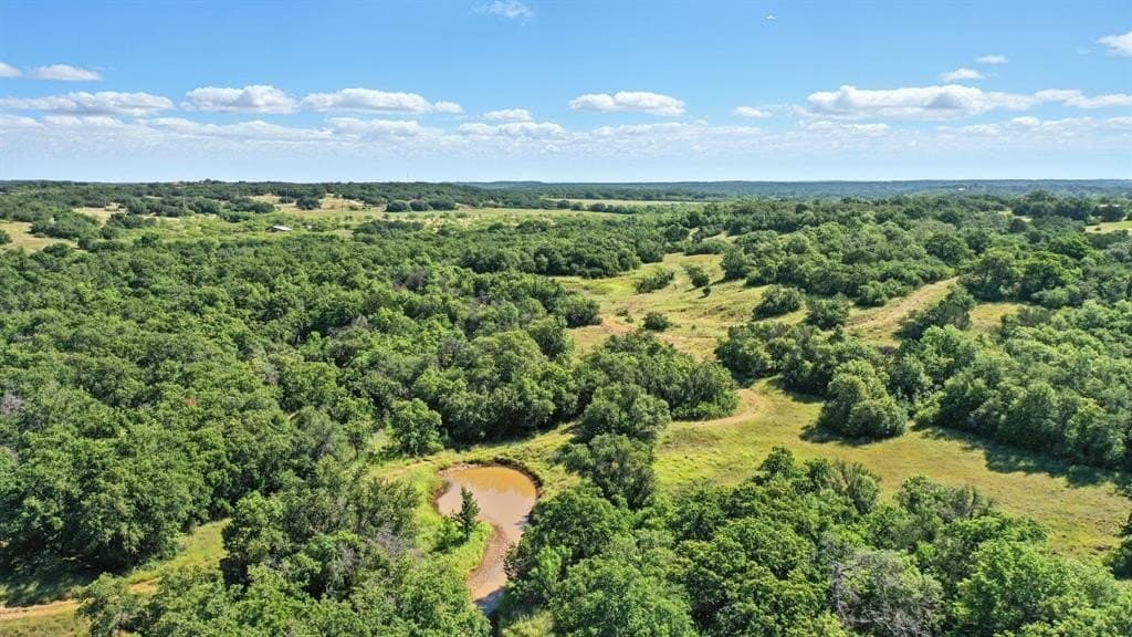 112.46 acres in Eastland County - photo 2