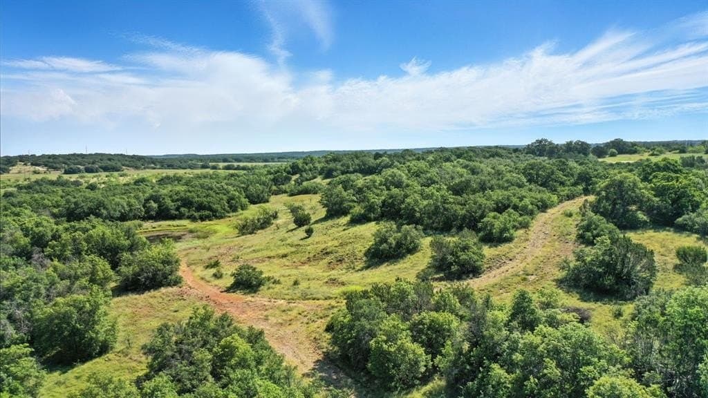 112.46 acres in Eastland County - photo 3