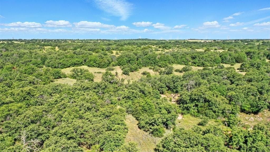 112.46 acres in Eastland County - photo 15