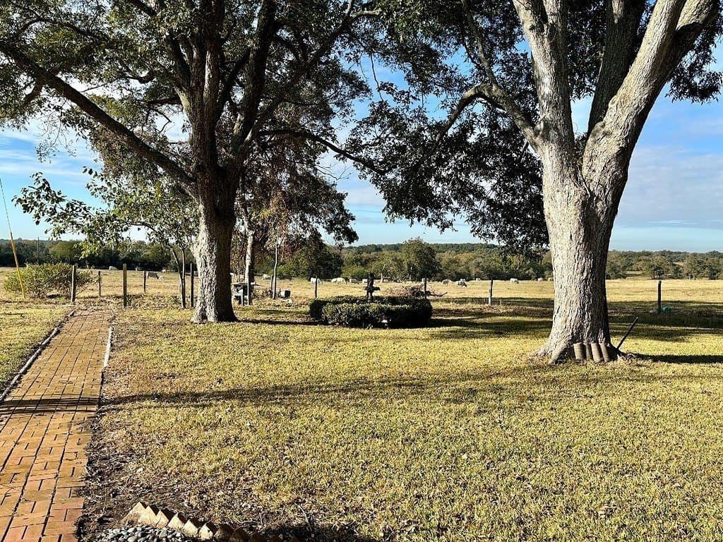 1.5 acres in Washington County - photo 17