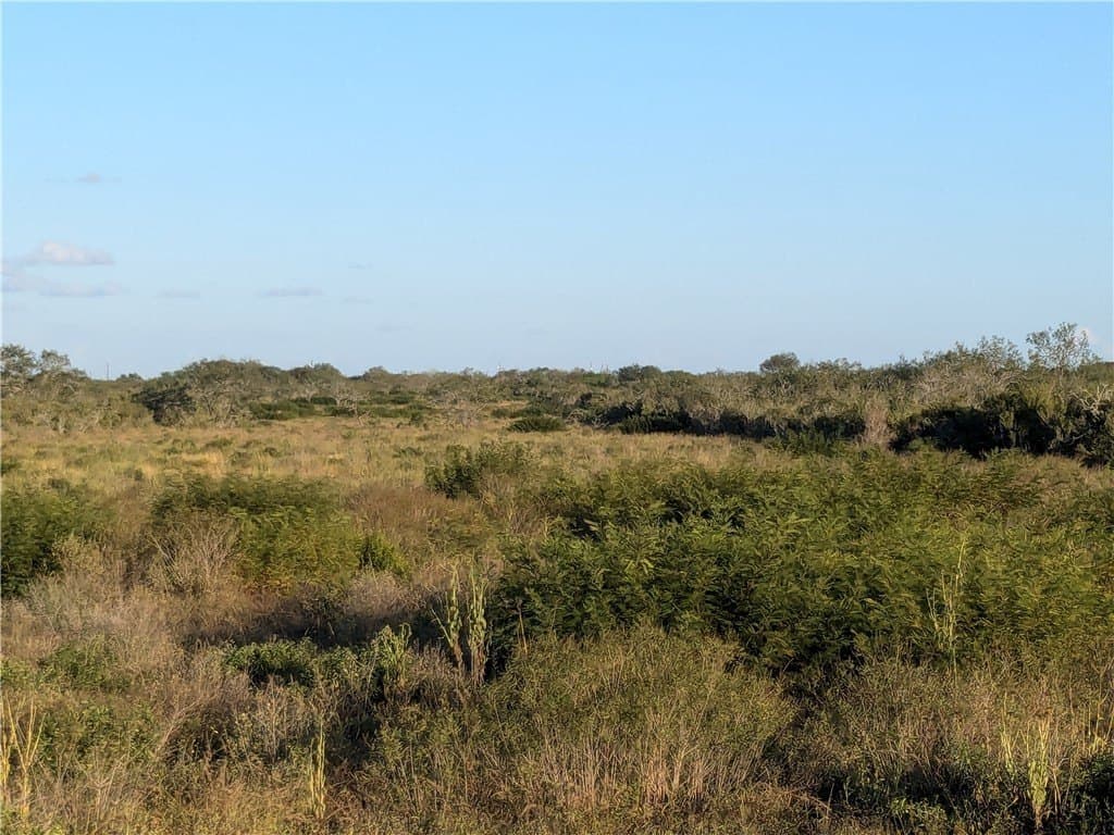 244 acres in Duval County - photo 3