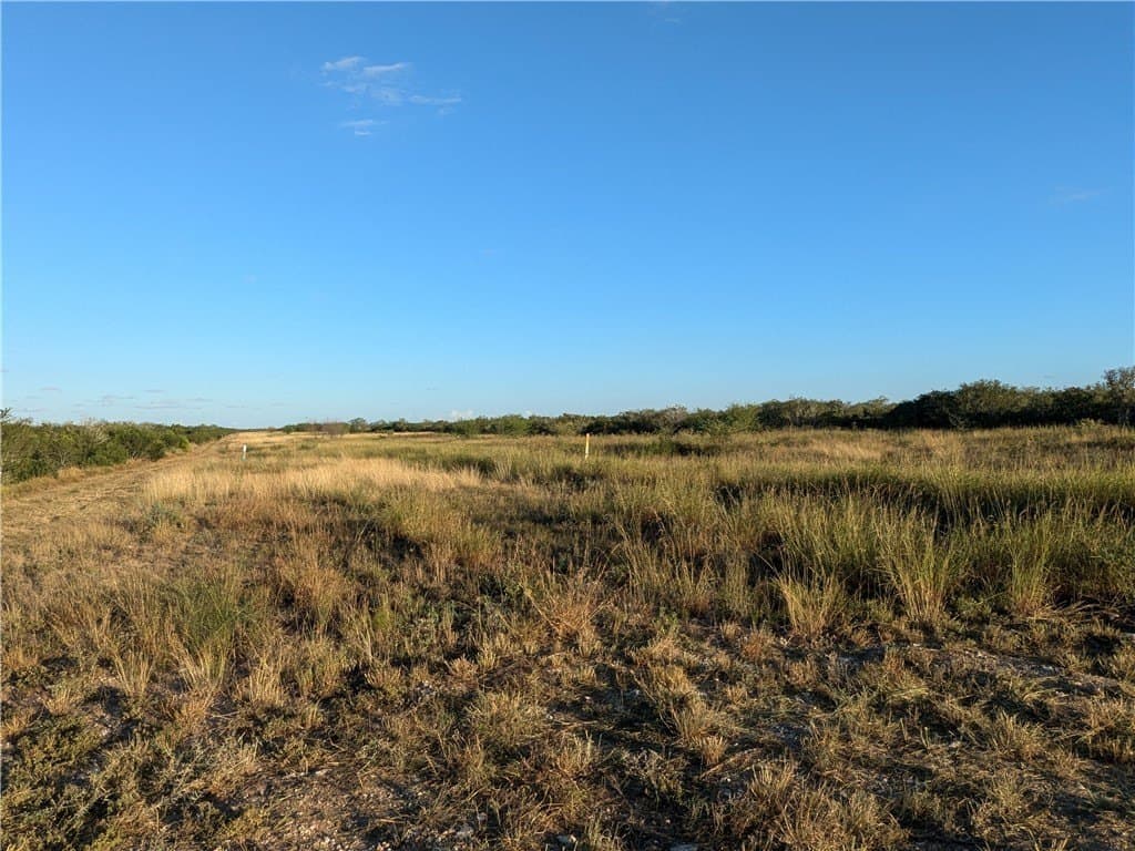 244 acres in Duval County - photo 5