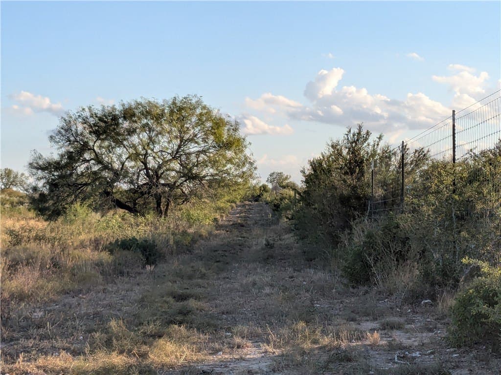 244 acres in Duval County - photo 4