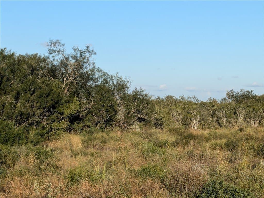 244 acres in Duval County - photo 2