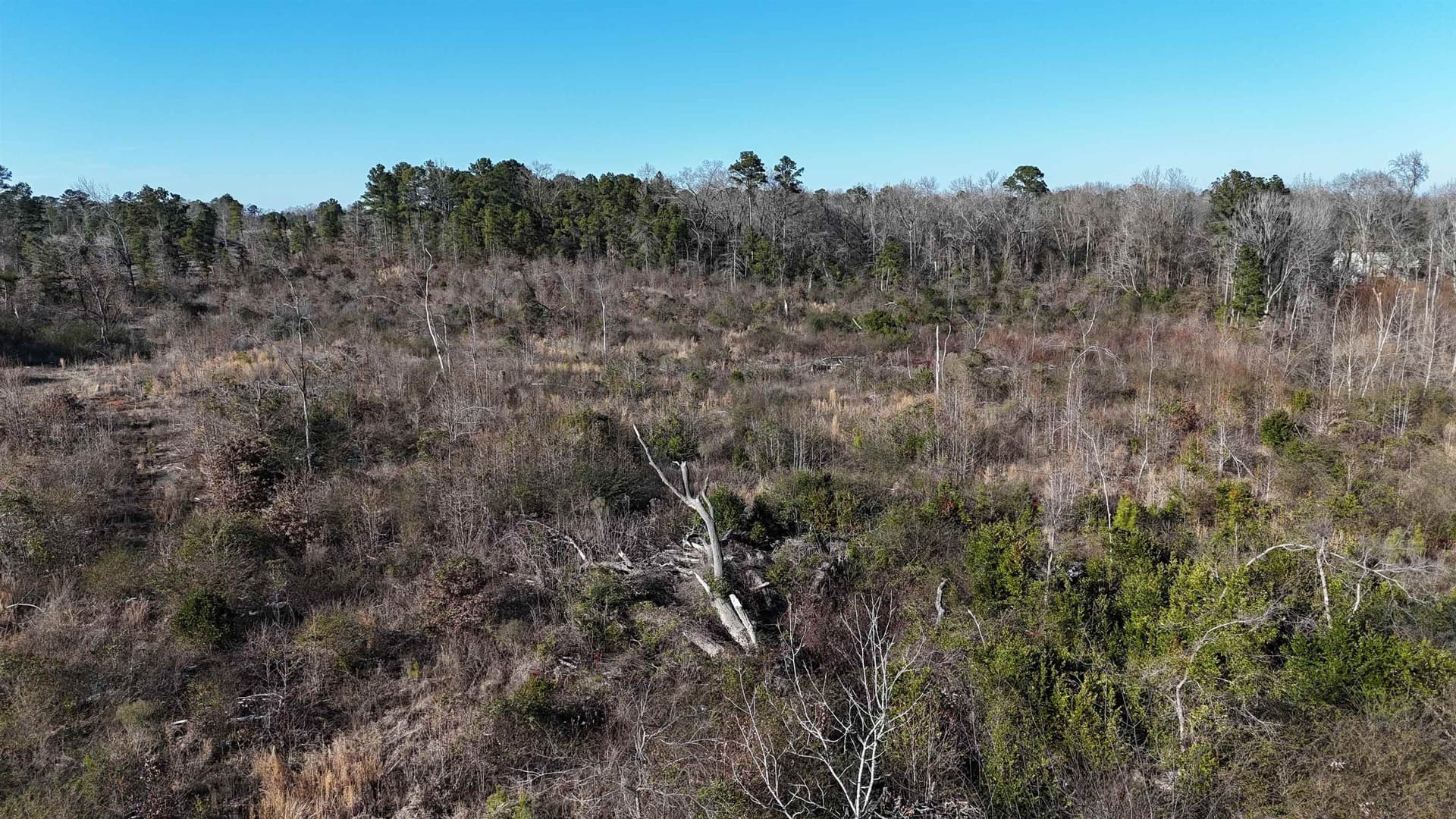 18.9 acres in Gregg County - photo 5