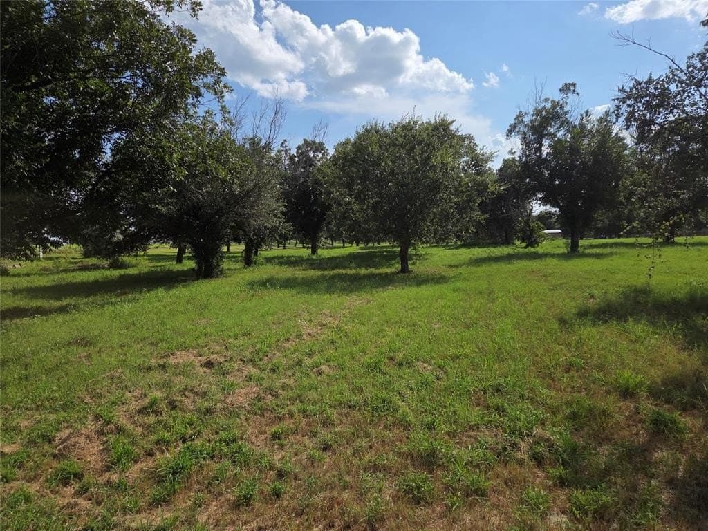 2.39 acres in Hood County - photo 12