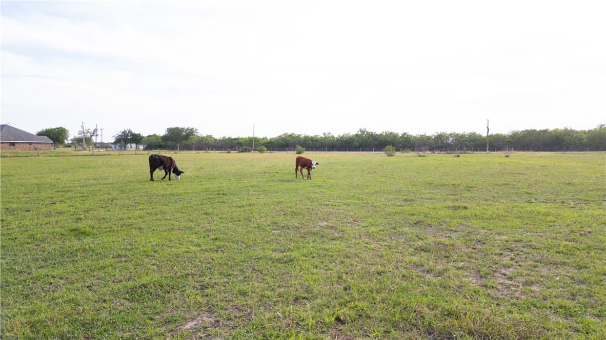 10.42 acres in Jim Wells County - photo 8
