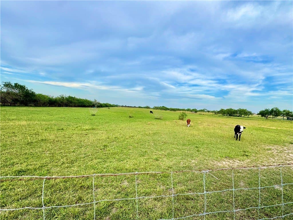 10.42 acres in Jim Wells County - photo 7