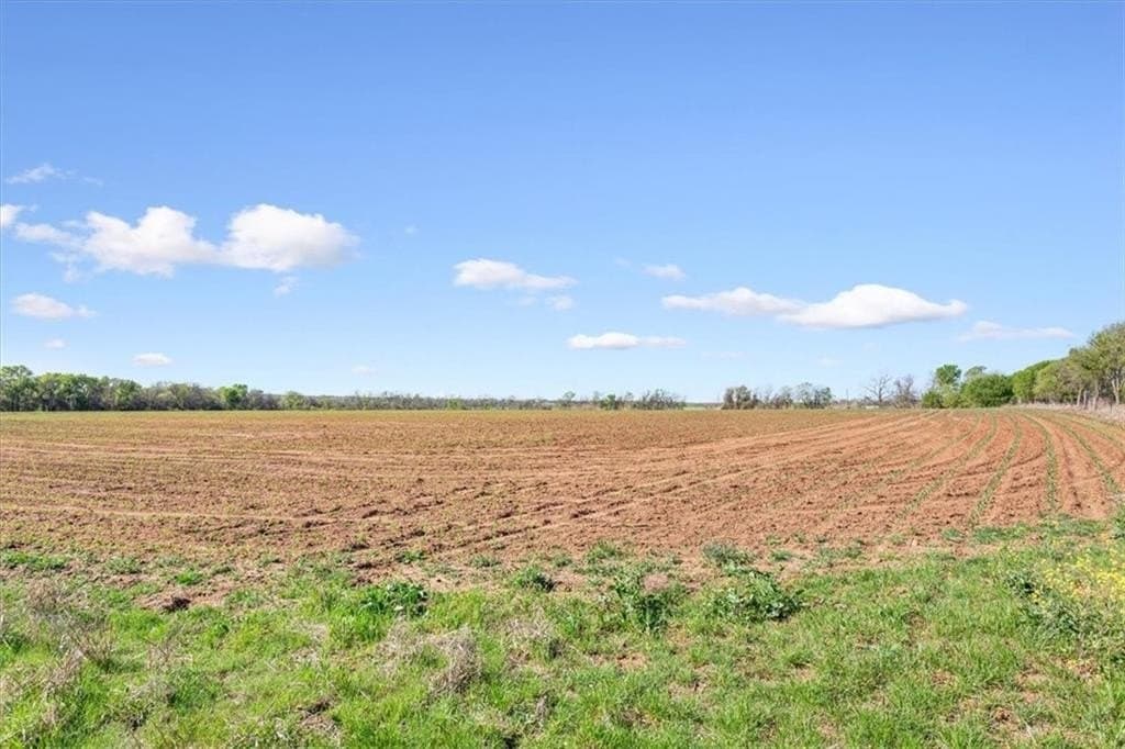 54.11 acres in Hill County - photo 10