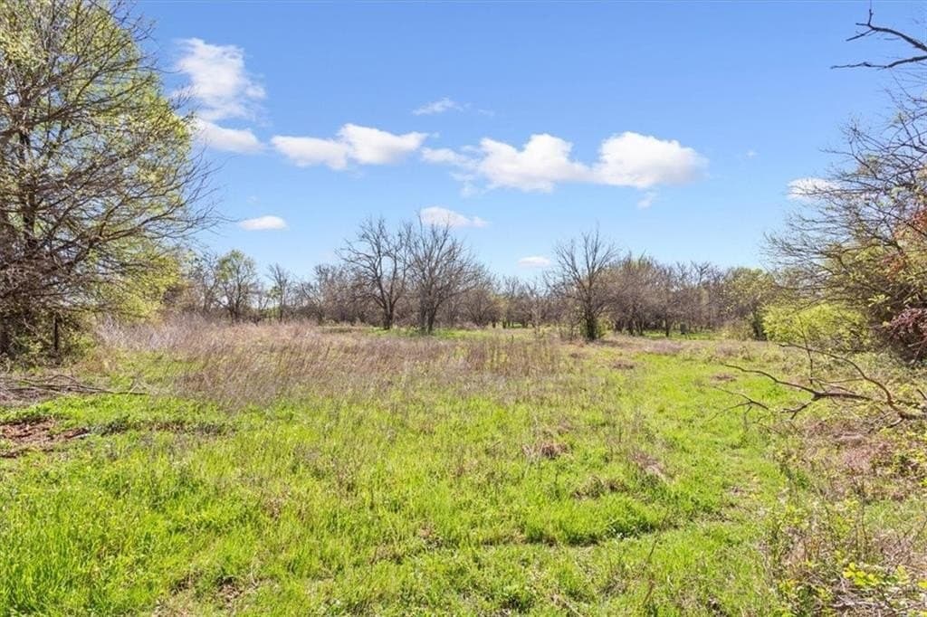 54.11 acres in Hill County - photo 12