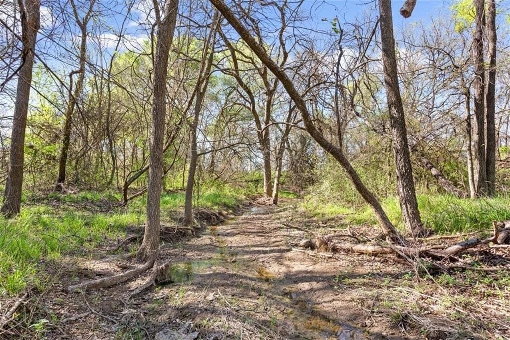 54.11 acres in Hill County - photo 13