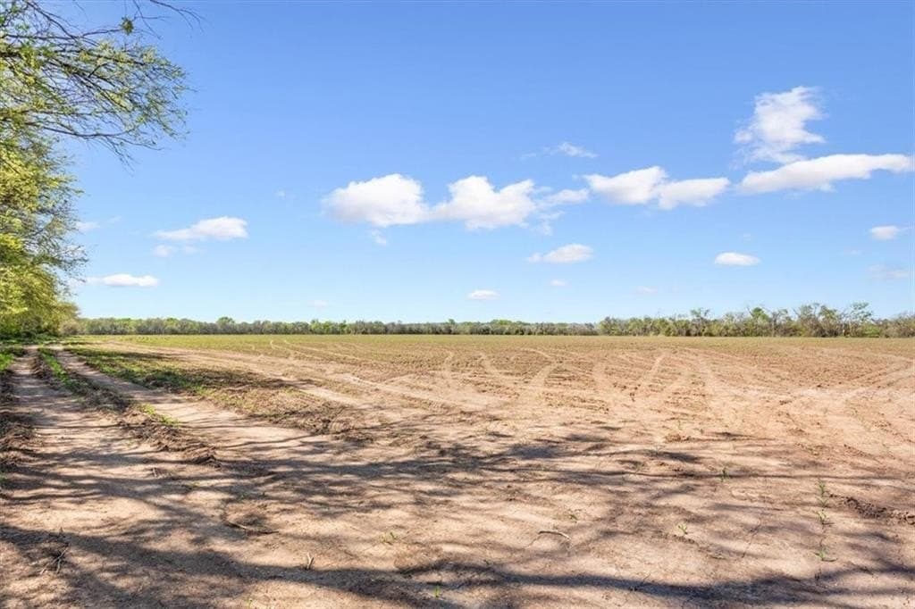 54.11 acres in Hill County - photo 8