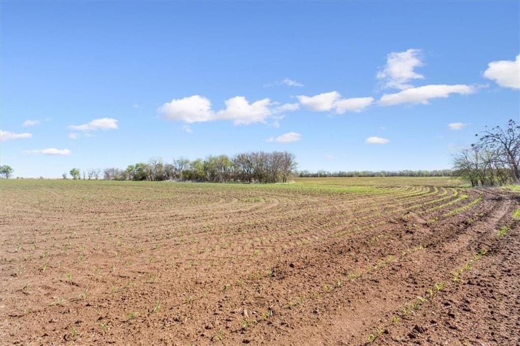 54.11 acres in Hill County - photo 11