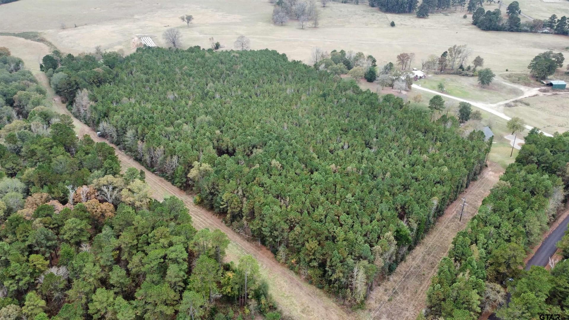 14.28 acres in Smith County - photo 6