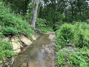 3.96 acres in Hill County - photo 3