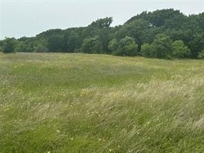 3.96 acres in Hill County - photo 11