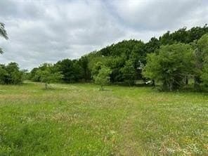 3.96 acres in Hill County - photo 13