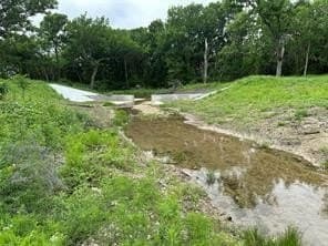 3.96 acres in Hill County - photo 4