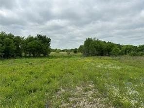 3.96 acres in Hill County - photo 16