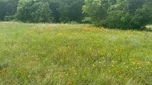 3.96 acres in Hill County - photo 12