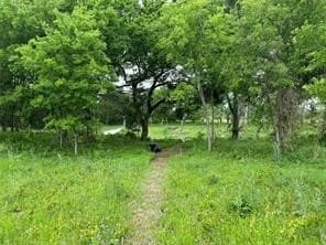 3.96 acres in Hill County - photo 9