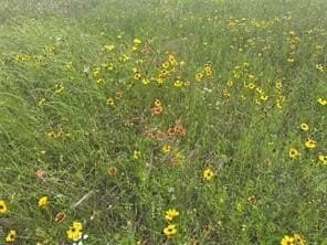 3.96 acres in Hill County - photo 18