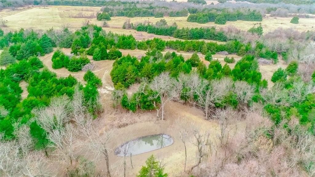 16.93 acres in Fannin County - photo 4