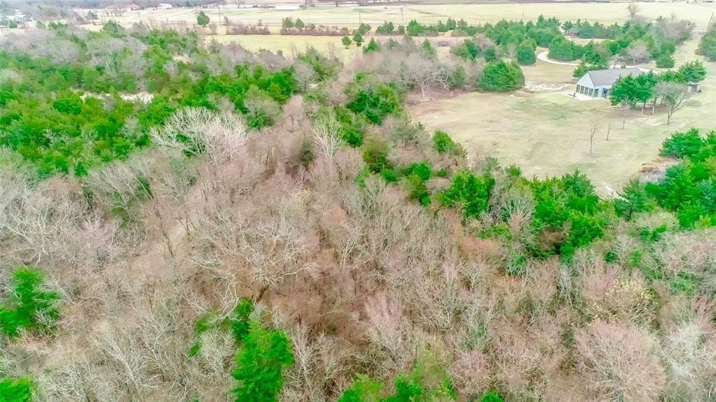16.93 acres in Fannin County - photo 3