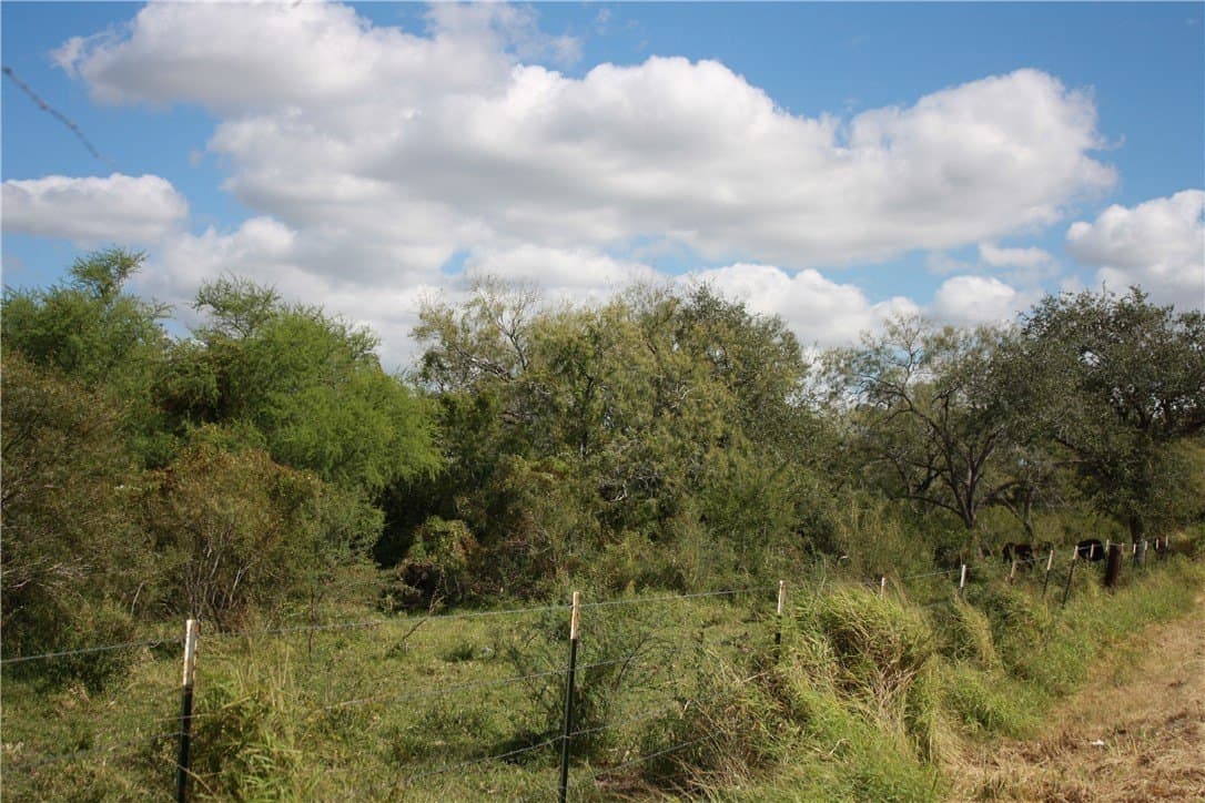 21 acres in San Patricio County - photo 2
