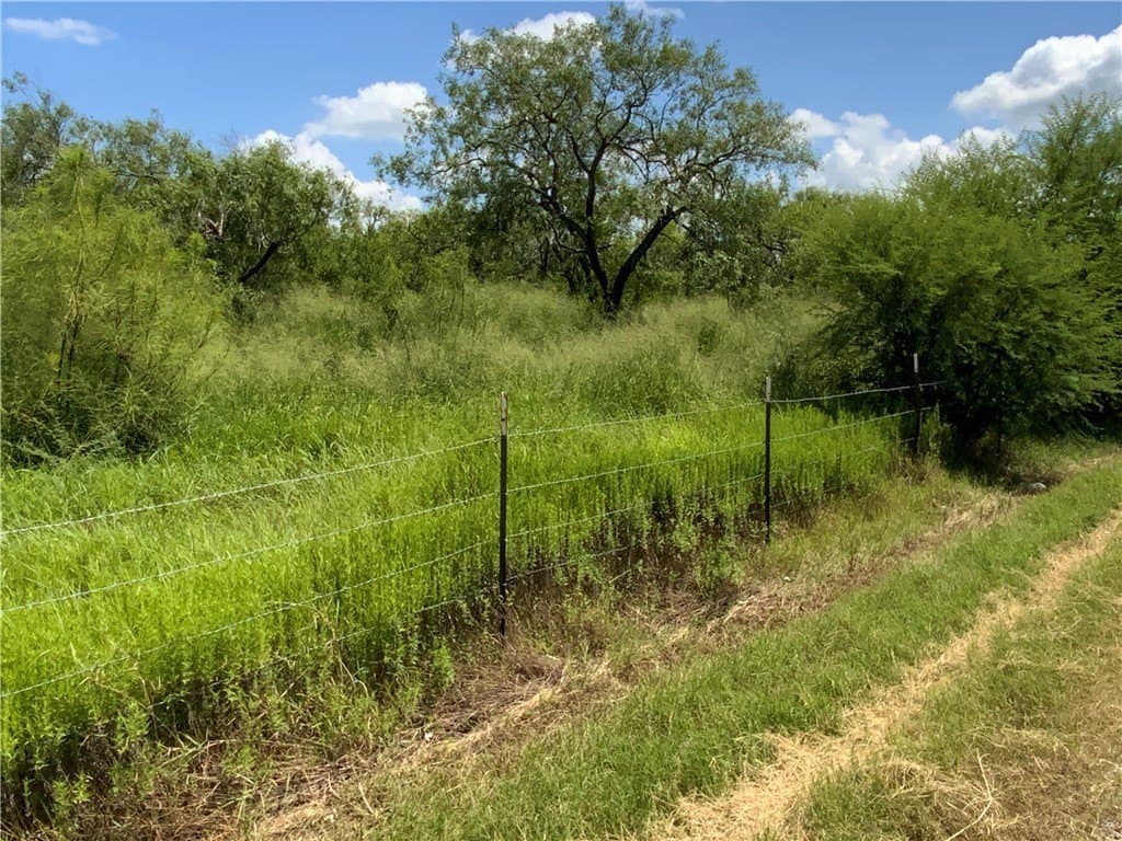 21 acres in San Patricio County - photo 12