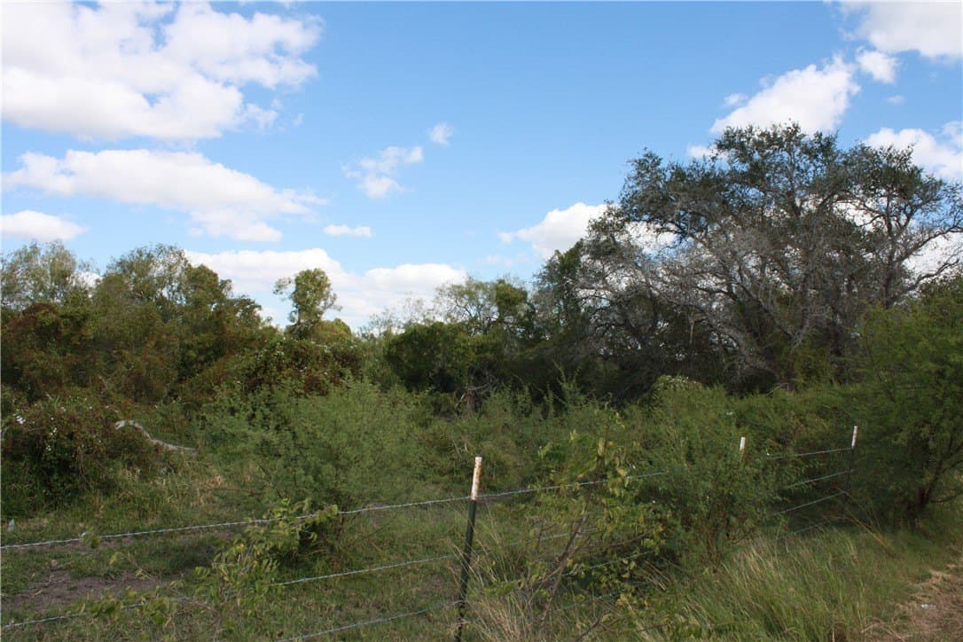 21 acres in San Patricio County - photo 6