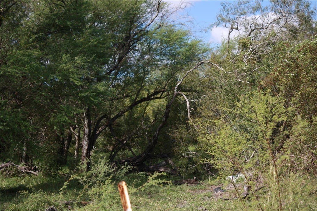 21 acres in San Patricio County - photo 7