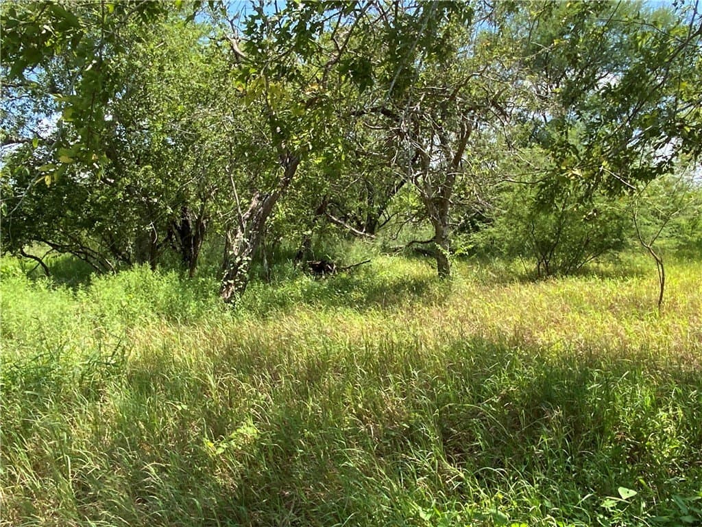 21 acres in San Patricio County - photo 9