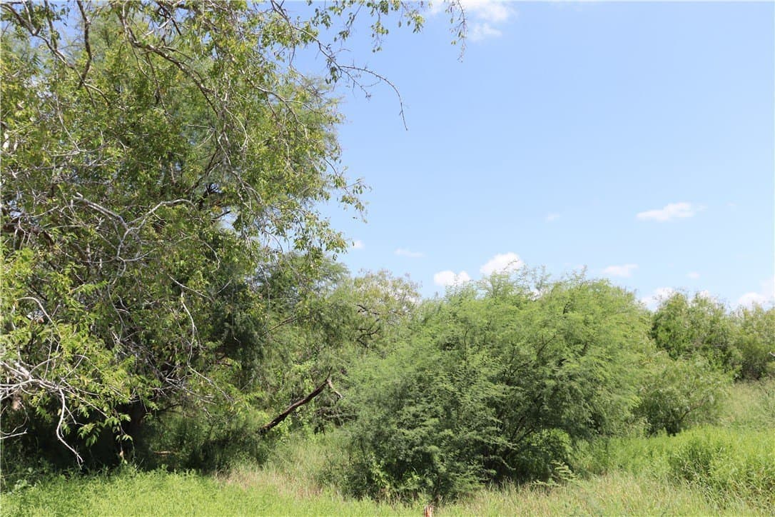 21 acres in San Patricio County - photo 15