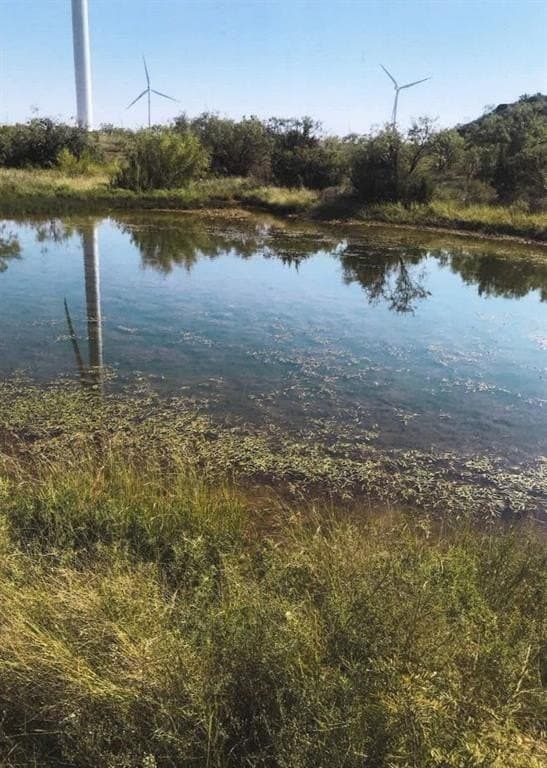 640 acres in Fisher County - photo 2