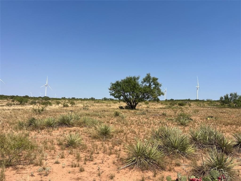 640 acres in Fisher County - photo 11