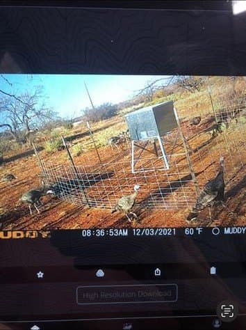640 acres in Fisher County - photo 22